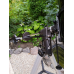 Телескоп Arsenal-Synta 150/750 EQ3-2 (150750EQ3-2)